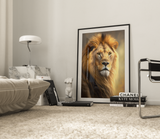 Løve Plakat 3 (50 x 70 cm ) - u/ramme