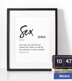 Sex definition plakat